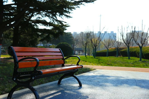 老園新顏 涂色童年記憶，濰坊公園的設施新生